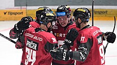 Spar�an�tí hokejisté se radují z gólu.