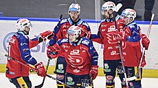 Pardubi�tí hokejisté oslavují vst�elený gól.