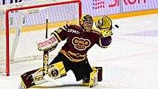 Jihlavský branká� Adam Beran