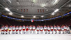 Po utkání s Dánskem si  �e�tí hokejisté vyslechli státní hymnu.