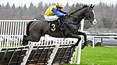 Valach Blowers �okoval dostihový sv�t. V Exeteru vyhrál s kurzem 300:1 a stal...