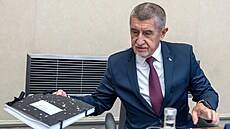 Redukci míst na ministerstvech a dal�ích ú�adech, takzvanou systemizaci,...