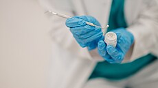 ilustra�ní snímek