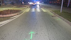 Nehoda se stala na p�echodu pro chodce v ulici E. Ro�ického.