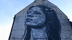 Nep�ehlédnutelná je i Madona Ostravica amerického výtvarníka Nilse Westergarda....