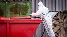 V Habrech na Havlí�kobrodsku za�ala likvidace chovu slepic, v n�m� se vyskytla...