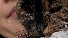 Nejstar�í ko�ka na zemi slaví 30 let