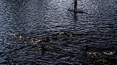 Nejstar�í otu�ilecká sout� v �eské republice, 79. ro�ník Memoriálu Alfreda...