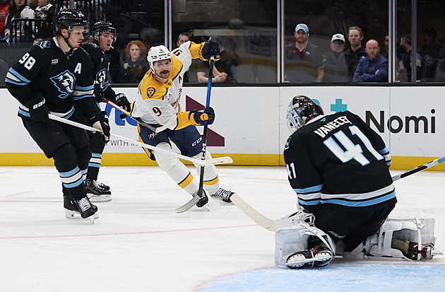 Parťák i sok v jednom. České brankářské dvojice dostaly prostor v NHL. Jak fungují?