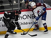 Martin Ne�as (vpravo) z Colorado Avalanche u mantinelu bojuje s Joelem...