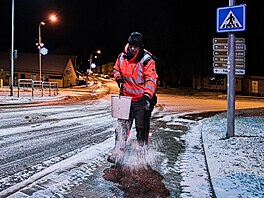 Pracovnice technických slu�eb ve Zbý�ov� u Brna sype s�l na chodník (30....