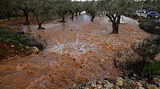 Zaplavené olivové sady b�hem silné zimní bou�e, která zasáhla region, ve...