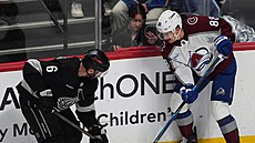 Martin Ne�as (vpravo) z Colorado Avalanche u mantinelu bojuje s Joelem...