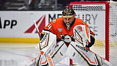 Petr Mrázek v brán� Anaheim Ducks