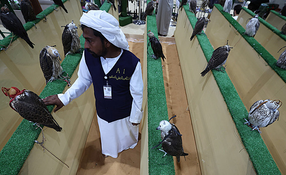 Vystavovatel se svými sokolími sv��enci na mezinárodní výstav� lovu a...