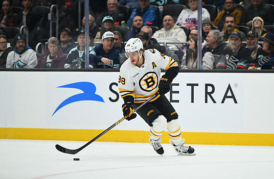 David Pastr�ák vymý�lí s pukem na holi úto�nou akci.