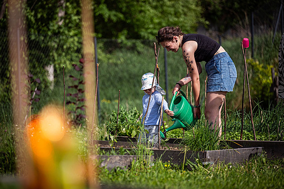 Za()hrada na Tabuláku v Olomouci je místem setkávání místní komunity v areálu...