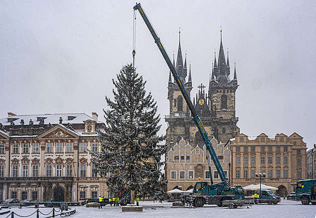 Strom položili a nastoupil dřevorubec. Ze Staroměstského náměstí odvezli vánoční smrk