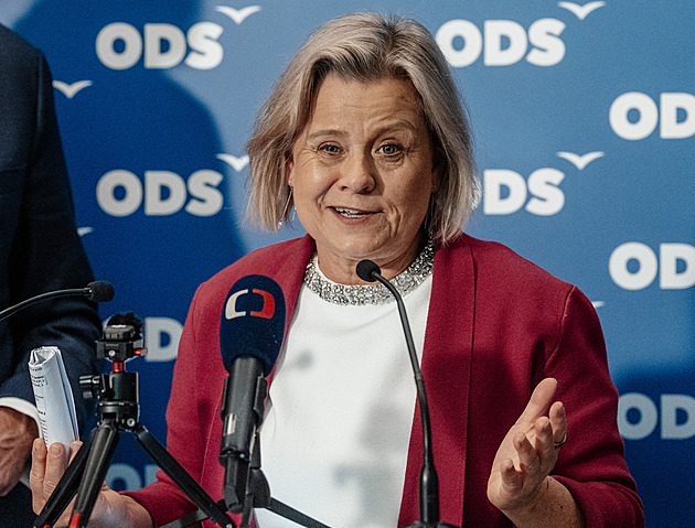 Hra s ohněm, chaos jako za covidu. Europoslanci kritizovali Babiše kvůli maržím