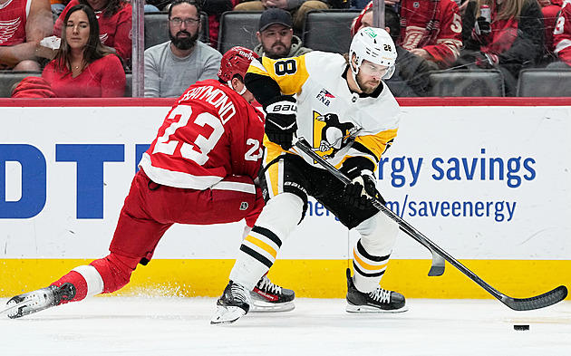 Nečas asistoval u výhry nad Carolinou, Pastrňák řídil triumf ve Vancouveru