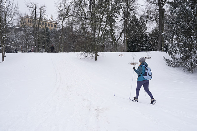 Vydatné sněžení způsobilo desítky nehod, potíže měla i MHD