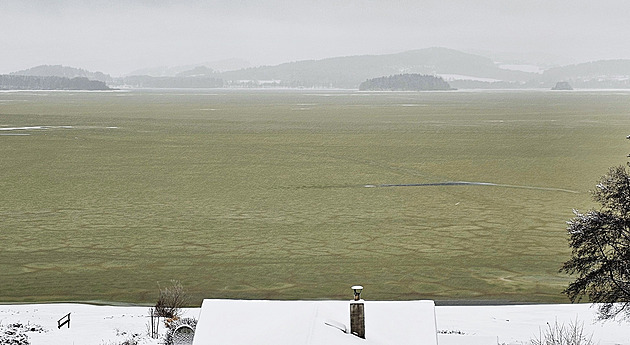 Vzácný jev i ve světovém měřítku. Led na Lipně zezelenal, vědci znají příčinu