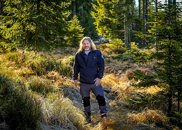 Emil je divně krotký. Až bude mít půl tuny v říji, může být zle, říká šéf NP Šumava