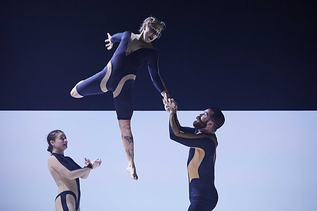 Svět si podmanili psi, buď vlkem! Letní Letnou obklíčí temperamentní smečka