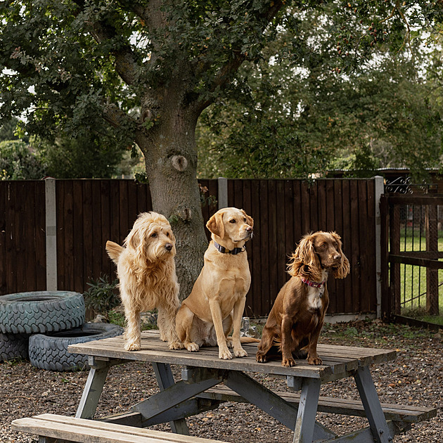 Venkovské sídlo skrývá neobvyklý byznys s ročním příjmem 1,4 milionu korun