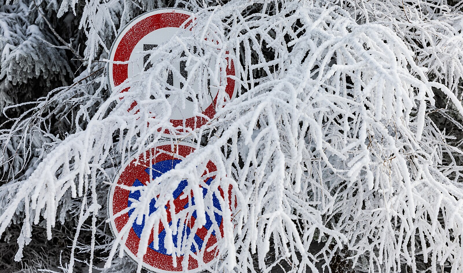 Zima se vrací. Místy napadnou dokonce desítky centimetrů sněhu