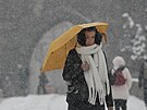 Do �esk� metropole dorazil sn�h. V Praze sn�� u� od �asn�ho r�na. Na sn�mku...