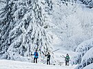 Mraziv� po�as� v Orlick�ch hor�ch (6. ledna 2026)