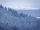 Zima �aruje v Libereck�m kraji (leden 2026)