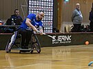 Hendikepovan� sportovec Jan Herman ze Strakonic (2. ledna 2026)