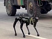 Robotické psy MULES p�edstaví indická armáda na p�ehlídce ke Dni armády