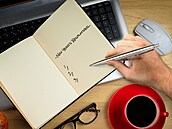 novoro�ní p�edsevzetí