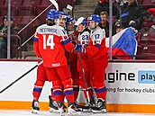 �e�tí junio�i se radují z gólu.