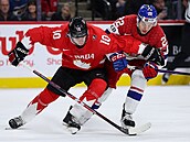 Kanadský obránce Cameron Reid (10) v klin�i s �eským úto�níkem Adamem...