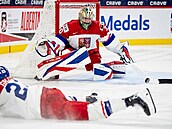 �eský branká� Michal Or�ulák se rychle p�esouvá proti letícímu kotou�i.