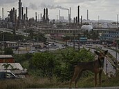 Rafinerie El Palito venezuelské státní ropné spole�nosti PDVSA ve m�st� Puerto...