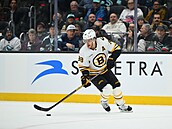 David Pastr�ák vymý�lí s pukem na holi úto�nou akci.