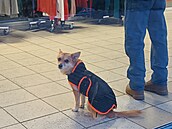 Sídli�t� Skalka