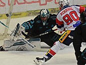 Robert Kousal z Pardubic se sna�í prost�elit branká�e Karlových Var� Daniela...