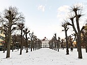 Lipová alej ve Smetanových sadech v Karlových Varech