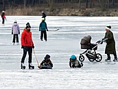 Na Boleveckých rybních v Plzni je v posledních dnech �ivo. V Karlovarském kraji...