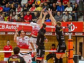 Momentka ze zápasu �eské Bud�jovice - Piacenza