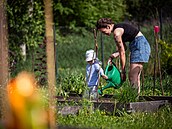 Za()hrada na Tabuláku v Olomouci je místem setkávání místní komunity v areálu...