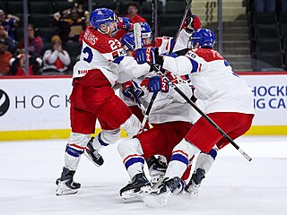 �e�tí junio�i slaví postup do finále hokejového �ampionátu.