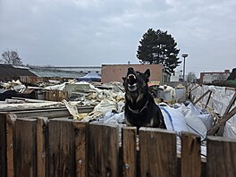 Výb�r nejp�sobiv�j�ích snímk� z Jihomoravského kraje, které loni zachytil...