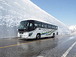 Vozovka, obstoupená bílými st�nami, celý ten podivuhodný sn�ný ka�on se krátce...